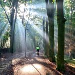 Waarom Buiten Bewegen in de Herfst Cruciaal is voor Vrouwen in de Overgang